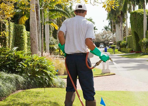 About Greensboro Bend VT Pest Control Pros